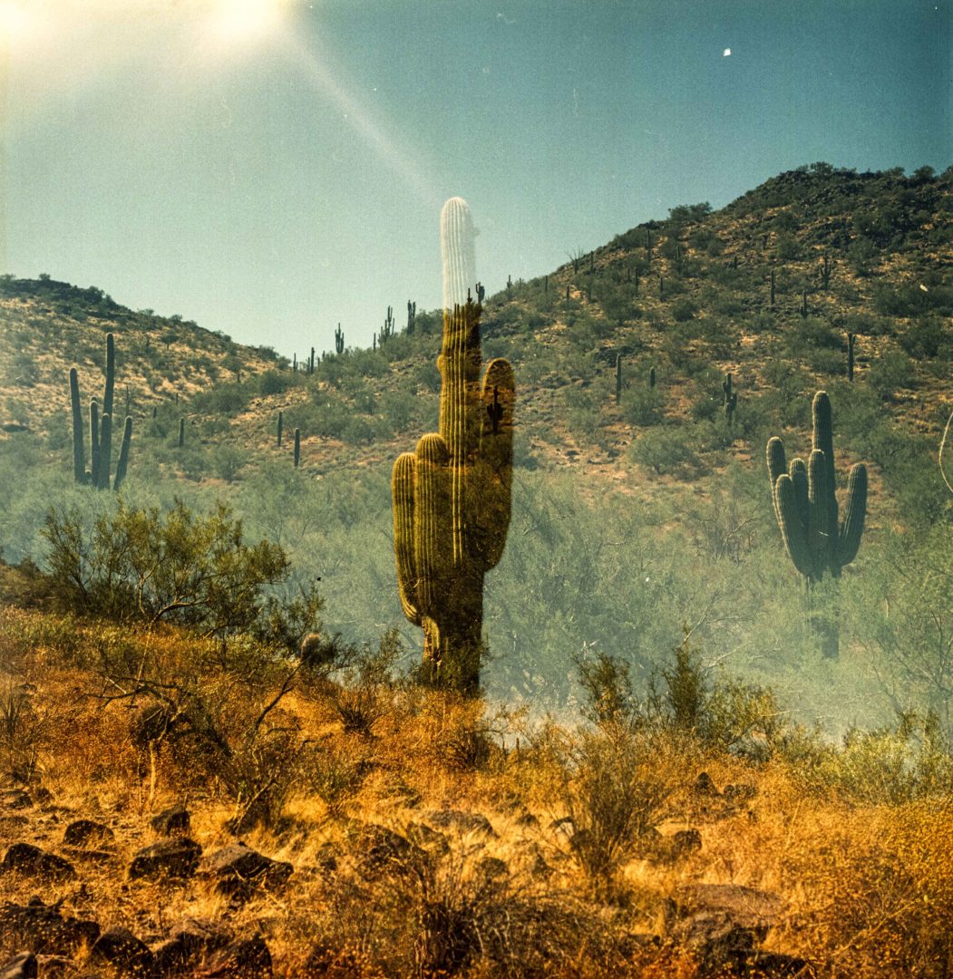 Double Exposure Cactus, ArizonaPortra 400 Medium Format Film