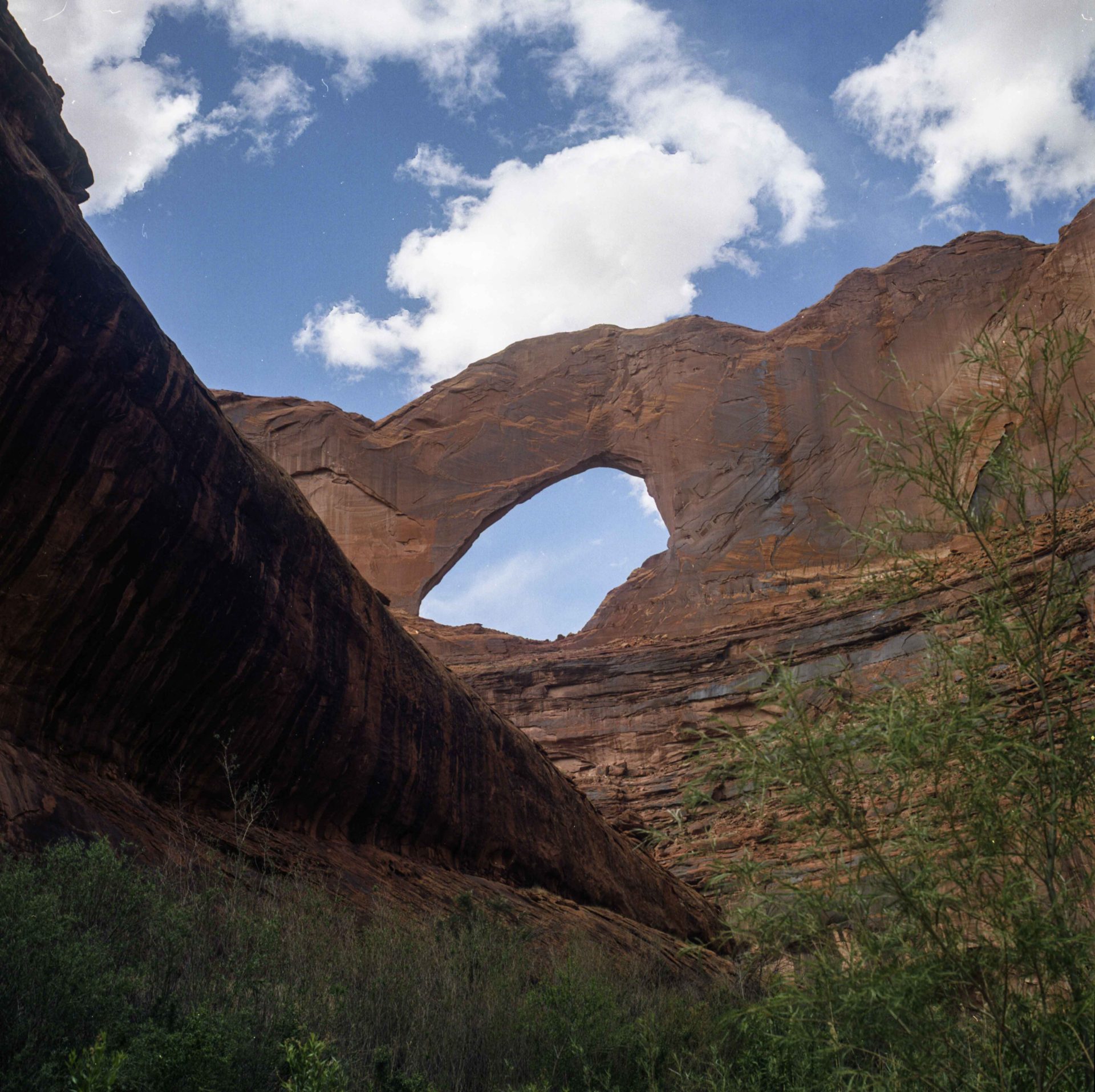 Stevens Arch, Utah