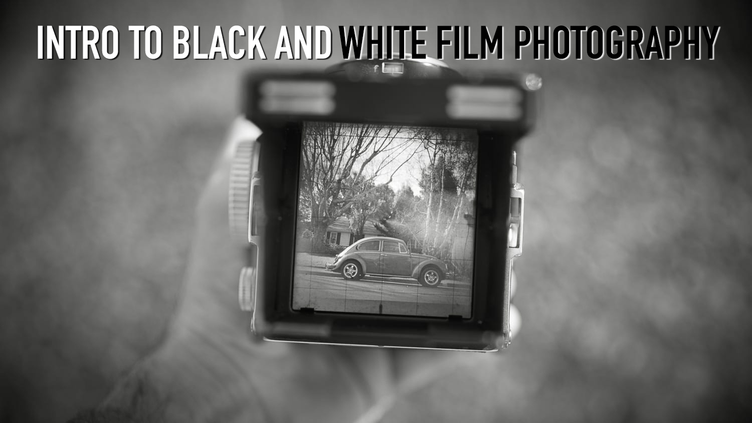 Intro To Black and White Film Photography