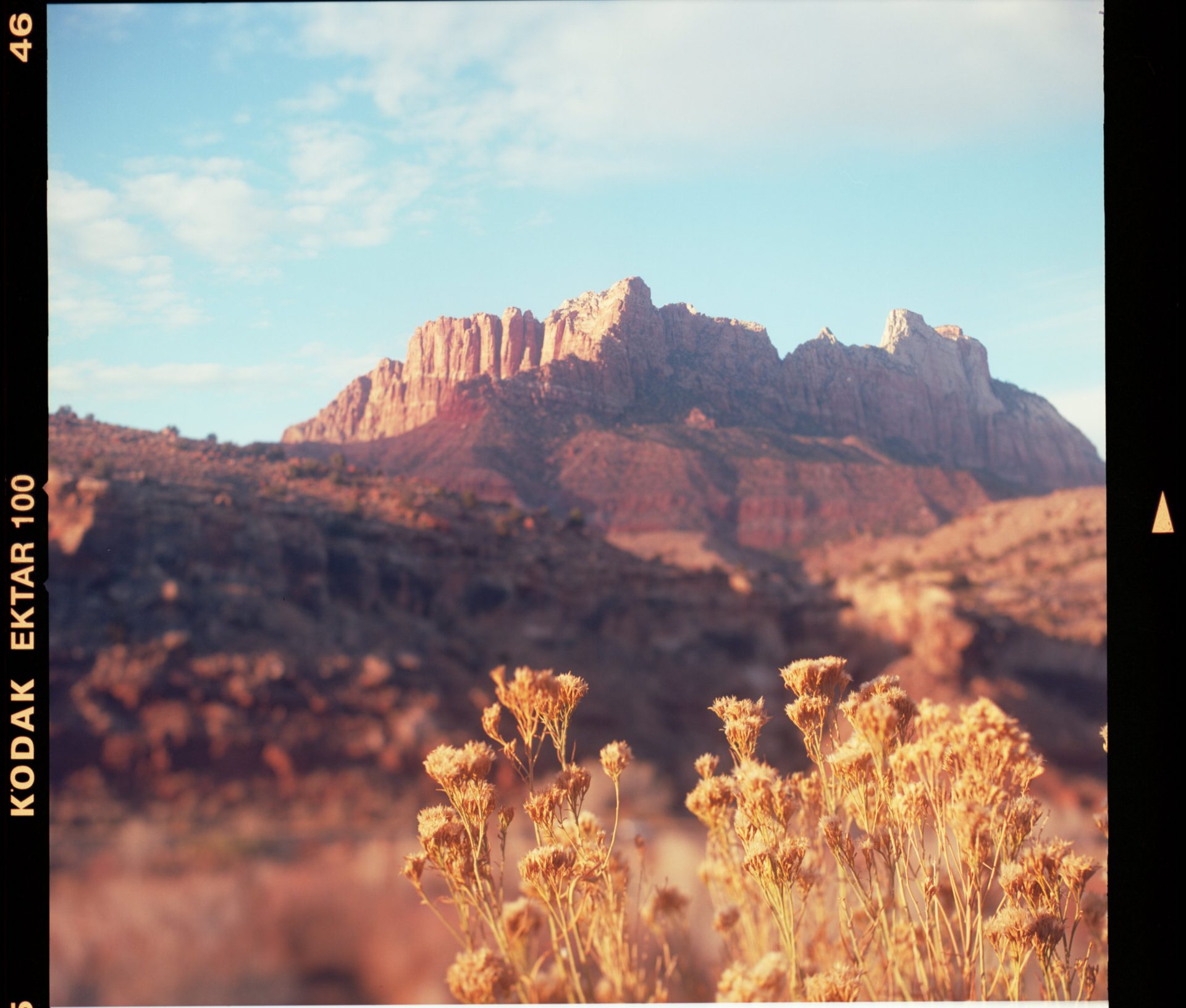 Medium Format Ektar 100 Tiltable View Zion NP (Unisex Long Sleeve T)