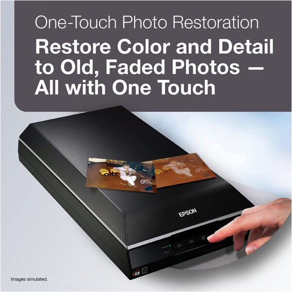 Epson Perfection V600 Colour Flatbed Scanner - Image 6