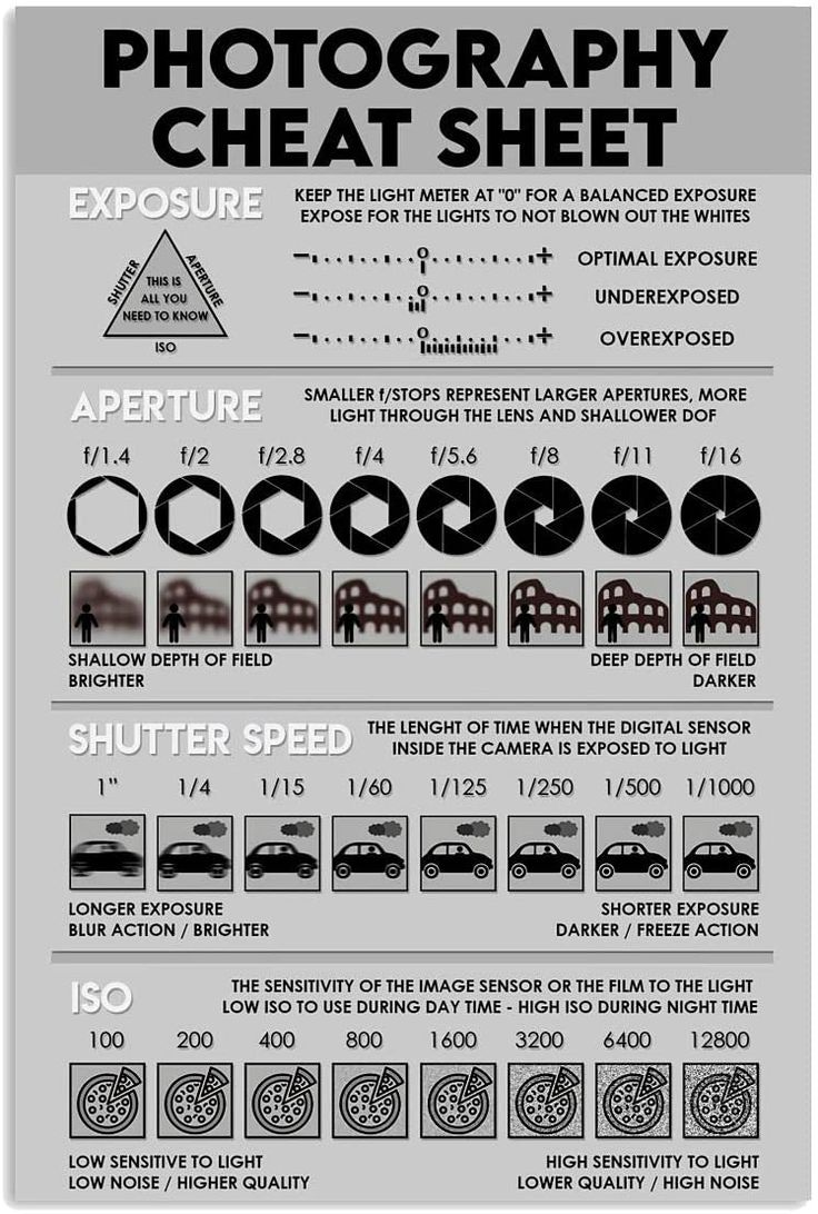 Photography Guide Graphic